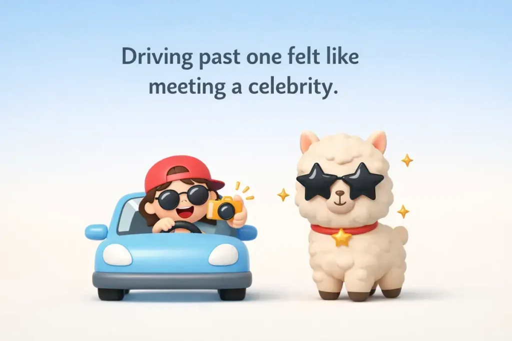 Road trip encounters that spark instant smiles