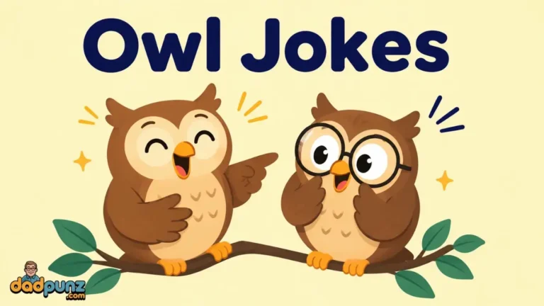 Owl Jokes