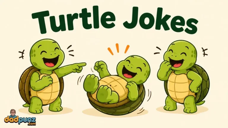 Turtle Jokes