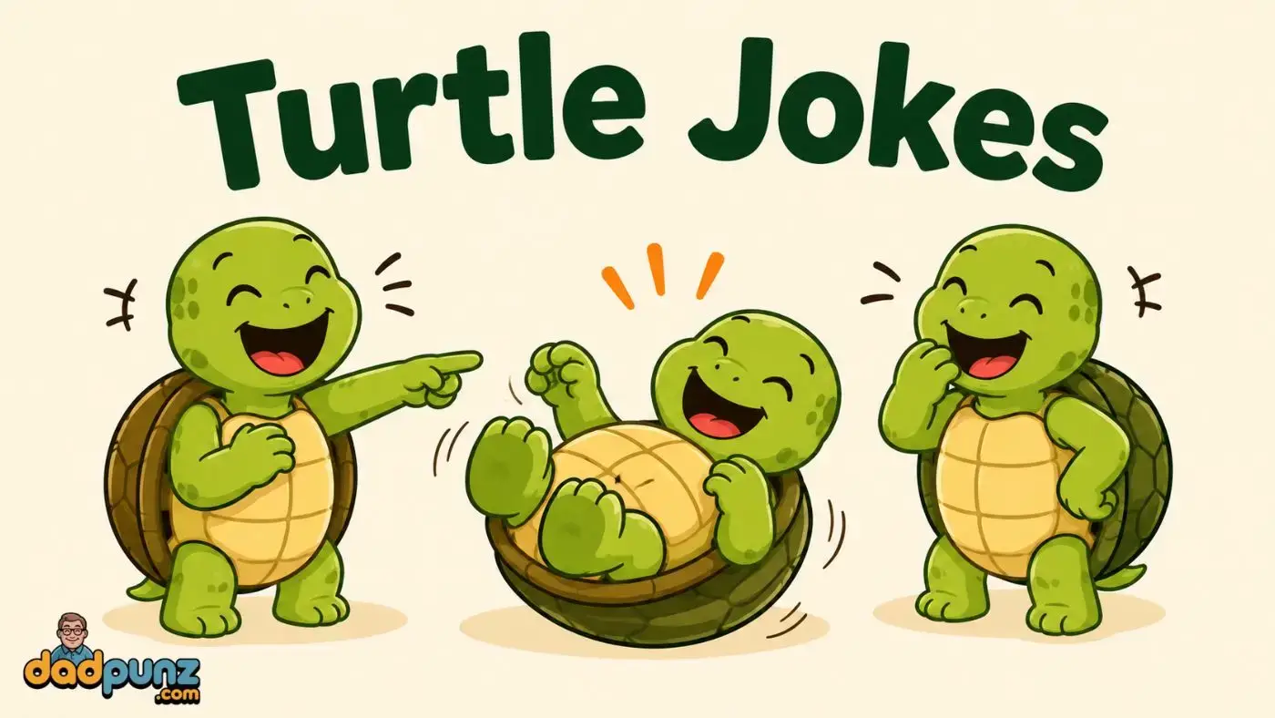 Turtle Jokes